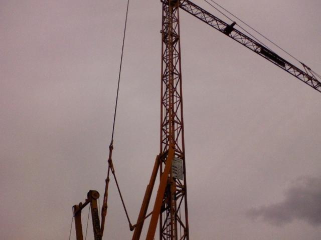 2007/07/post-625-1183903554_thumb.jpg