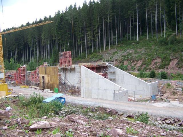 100_2548.jpg