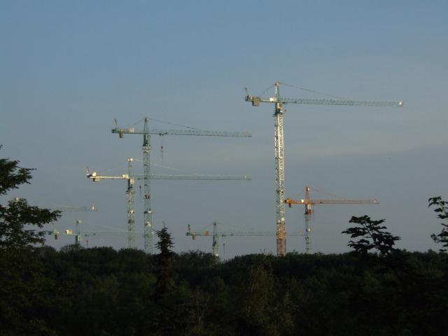 DSCF0994.JPG