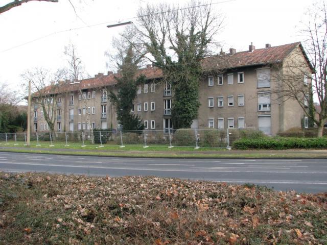 gewo_005.jpg