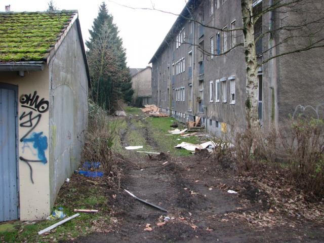 gewo_007.jpg