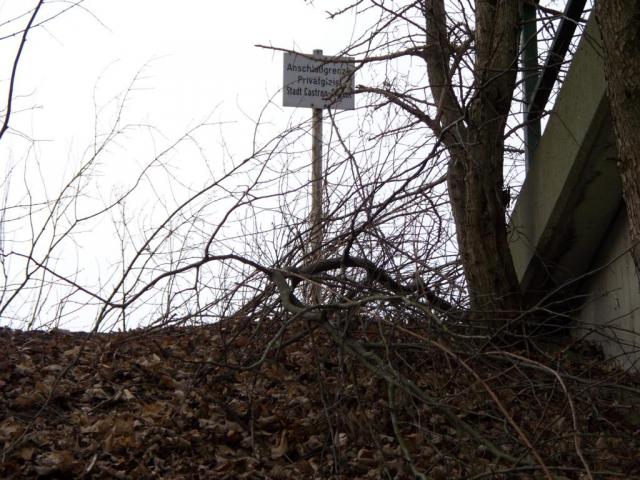 2007/12/post-6467-1198668714_thumb.jpg