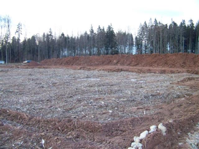 100_5004.jpg