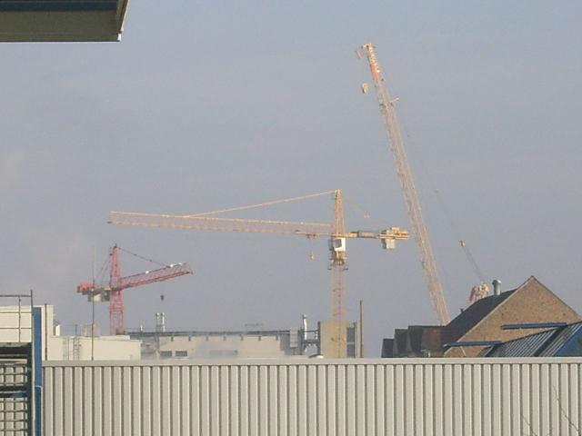 3SV100224.JPG