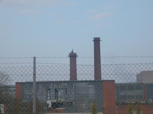 P1030001.JPG