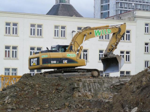 P1130087.jpg