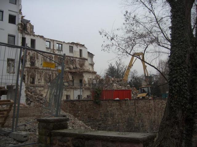 CIMG3775.JPG