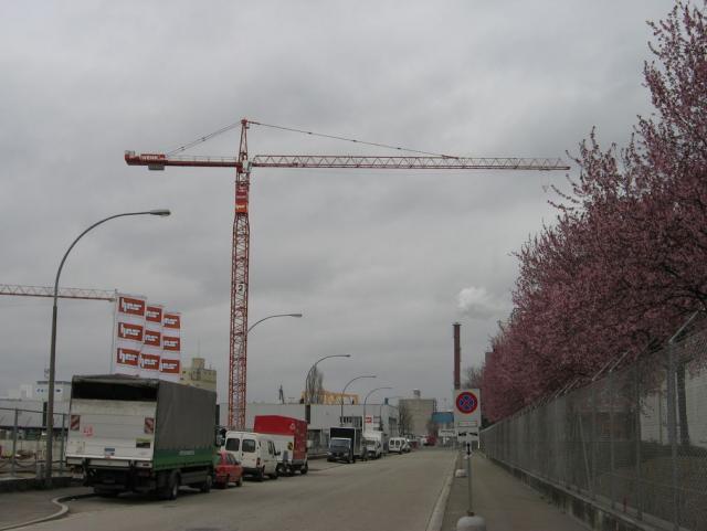 St_cki_wenk_007.jpg
