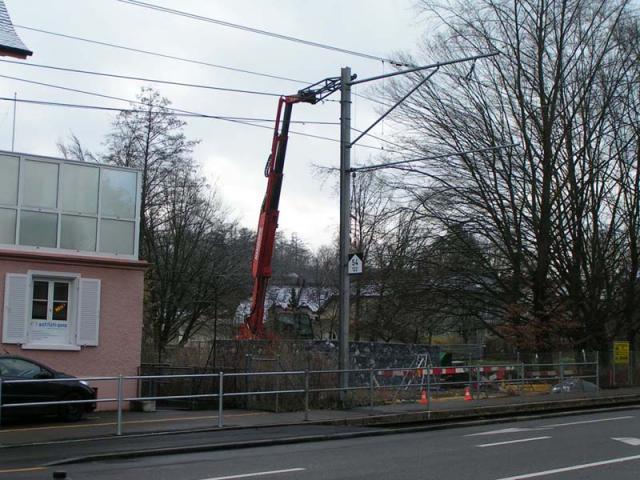 PICT7462.jpg