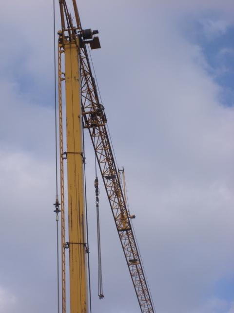 2008/03/post-625-1205082452_thumb.jpg
