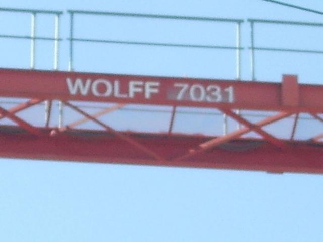 b_Wolff_WK7031__3_.JPG