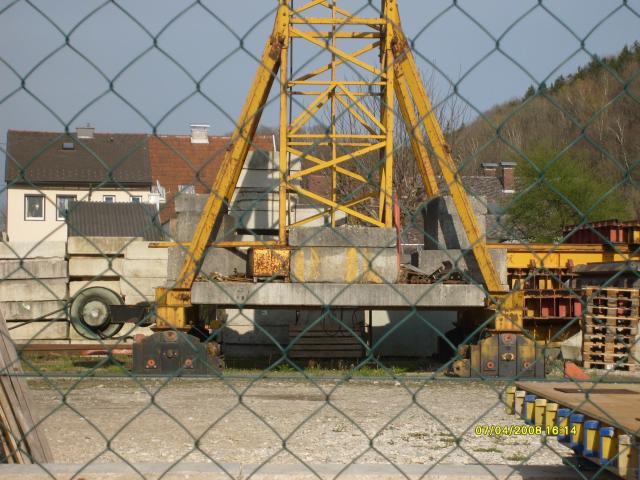 Wels_013.jpg
