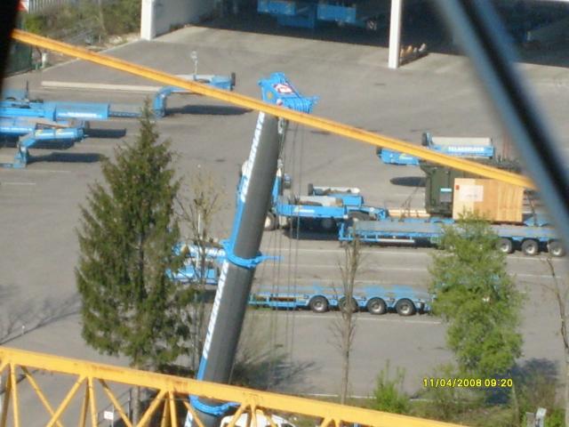 Wels1_017.jpg