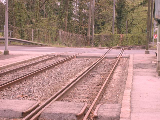 Hafenkrane_und_P_stlingbergbahn_007.jpg