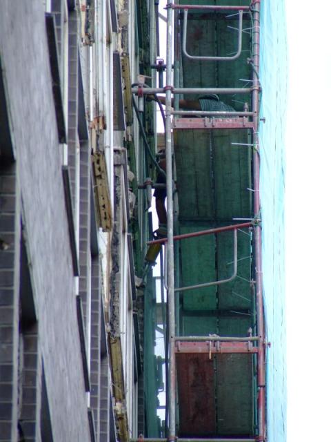 DSCF4517.JPG