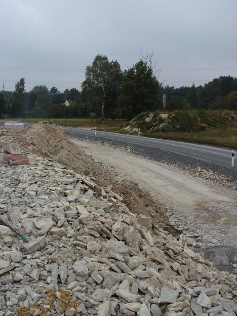 010.JPG
