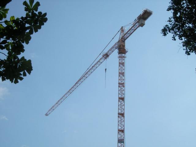 SANY2201.JPG