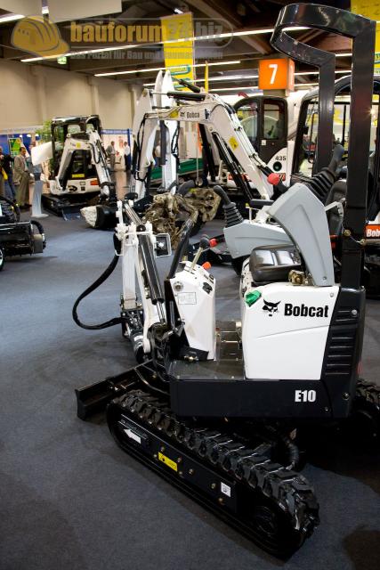 bobcat_07.jpg