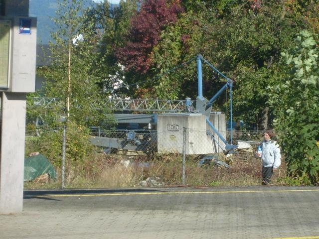 010.JPG
