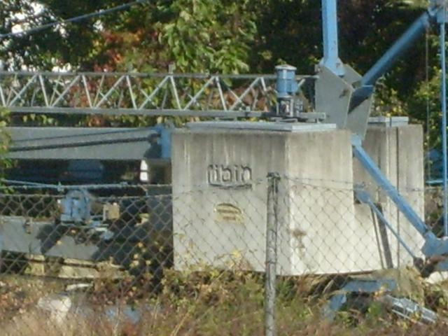 011.JPG