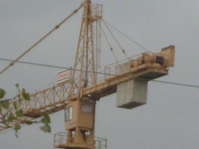 009.JPG