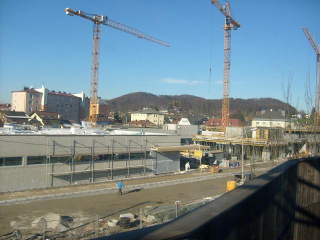 010.JPG