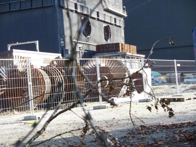2008/11/post-6467-1226164025_thumb.jpg