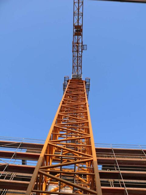 P1050513.JPG