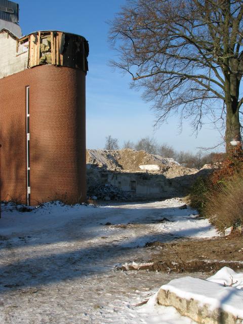 IMG_0734.jpg
