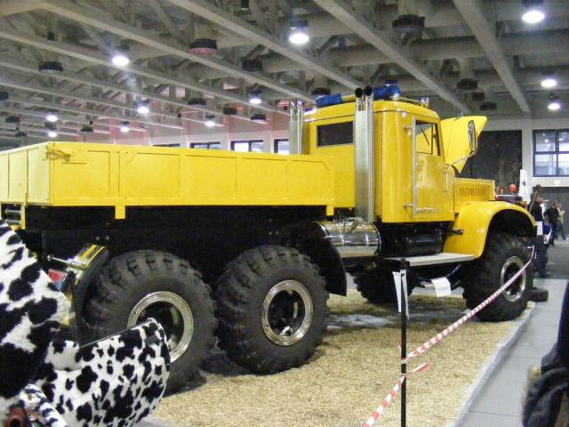 comp_Kraz200902221__3_.jpg