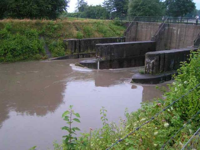 comp_PICT5358.jpg