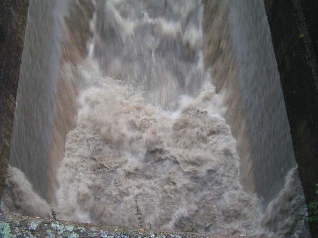 comp_PICT5378.jpg