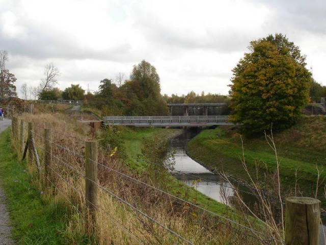comp_DSC00085.jpg