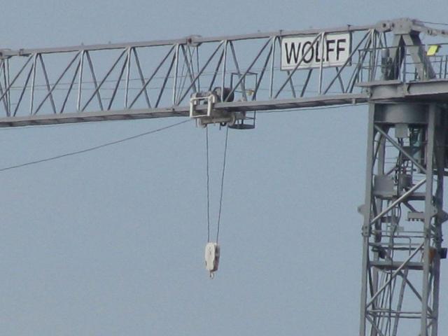 WOLFF_6031.8__2_.JPG