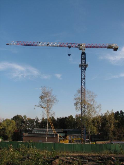 5426699.jpg