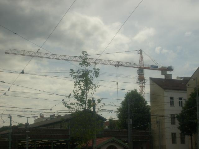 001.JPG