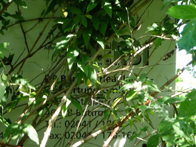 2009/05/post-6467-1243179456_thumb.jpg