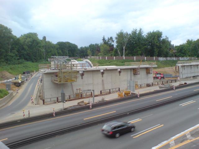 DSC00175s.jpg