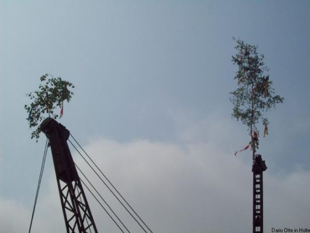 maibaum_017.jpg