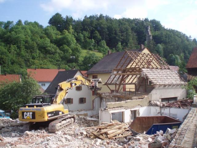 gibel_a.jpg