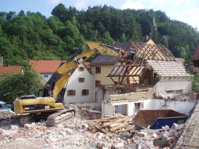 gibel_b.jpg