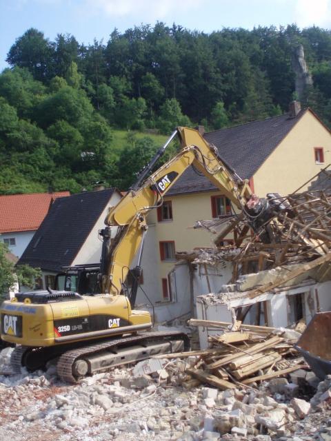 gibel_f.jpg