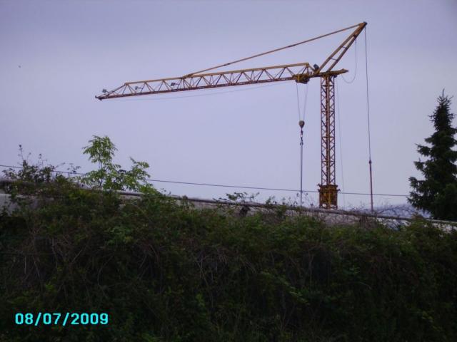 KraneWeeze_001.jpg