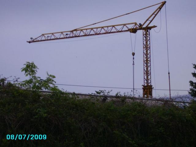 KraneWeeze_002.jpg