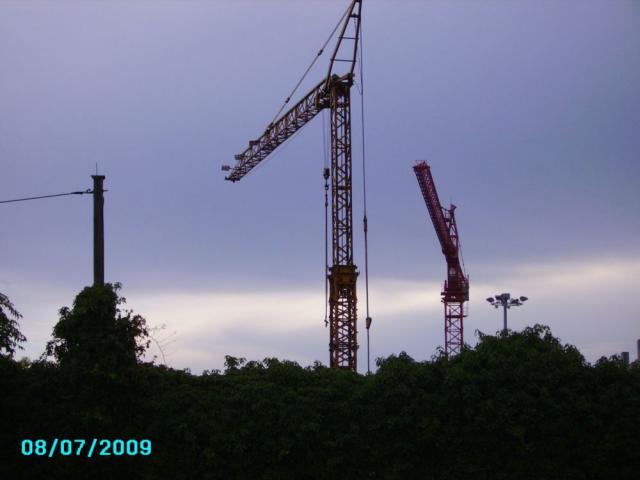 KraneWeeze_003.jpg