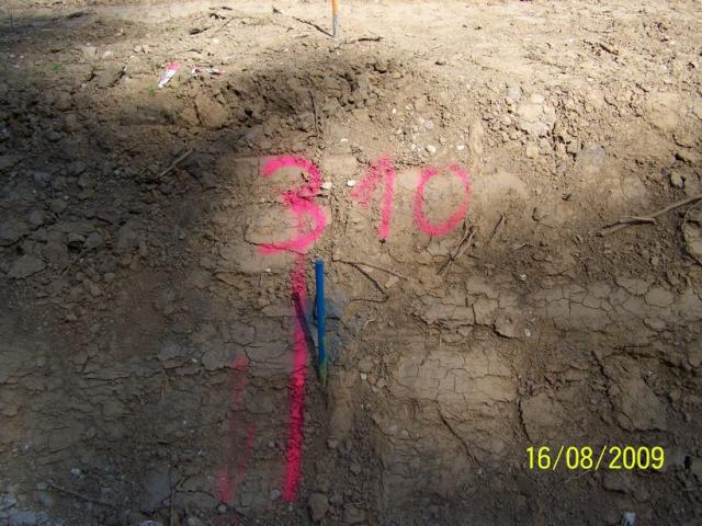 010.jpg