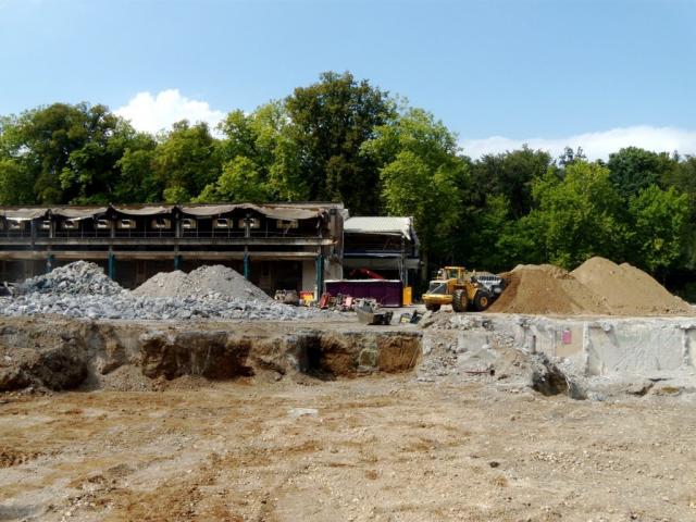 DSCN2356.jpg