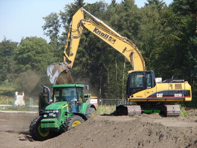 cat_323___jd_7720_2.JPG
