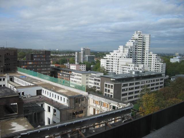 IMG_5605.JPG