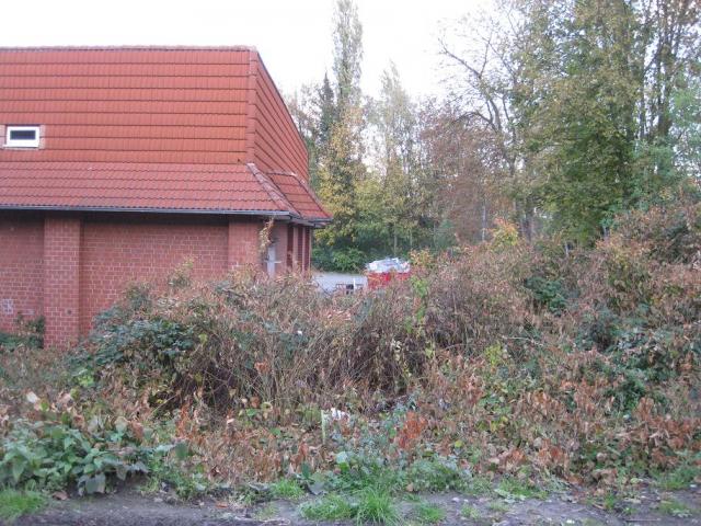 IMG_6240.JPG